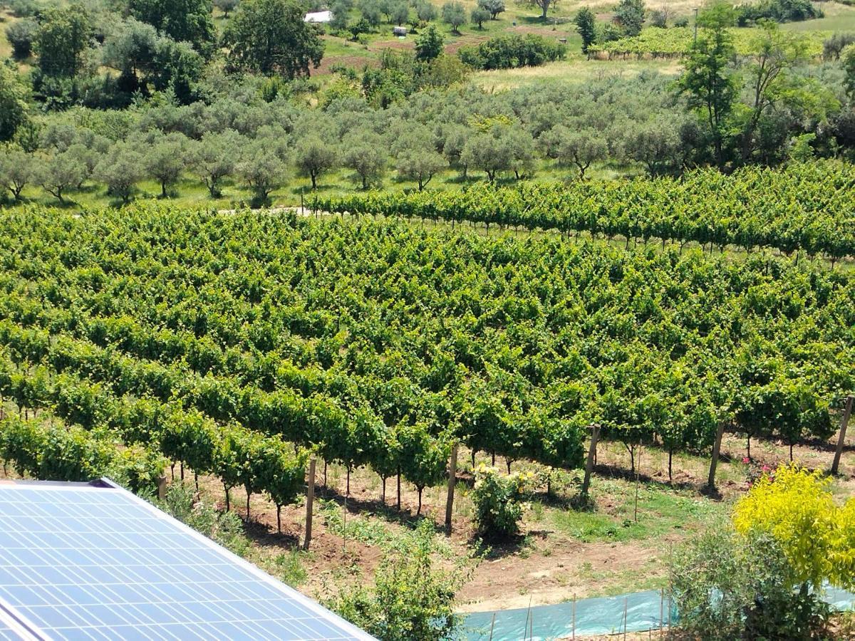 Angelucci Agriturismo Con Camere E Agri Camping Lanciano Exterior photo
