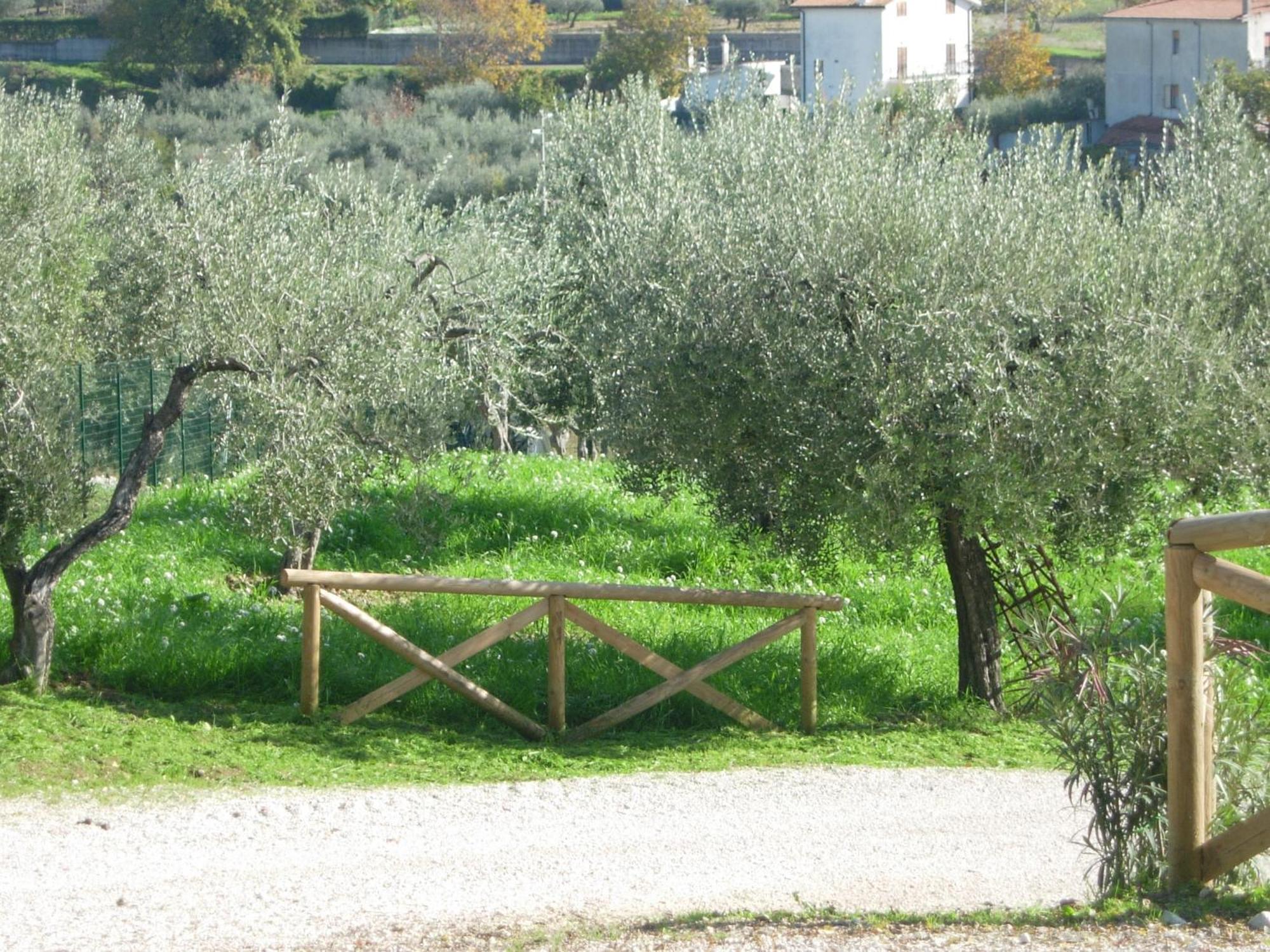 Angelucci Agriturismo Con Camere E Agri Camping Lanciano Exterior photo
